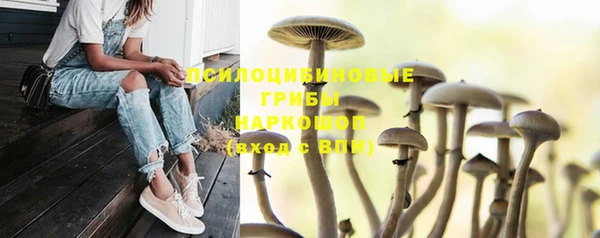 кристаллы Новодвинск