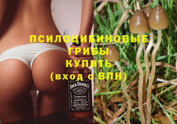 крисы Абинск