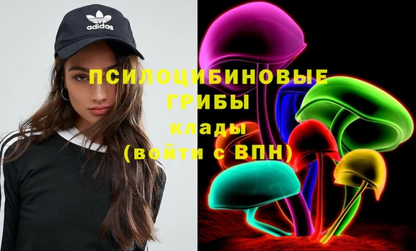амф Абаза