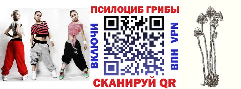 Псилоцибиновые грибы Cubensis  гидра вход  Северодвинск 