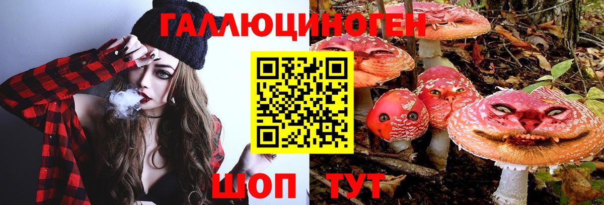 Северодвинск  Галлюциногенные грибы Cubensis  Псилоцибиновые грибы Psilocybine cubensis  Вход с VPN 