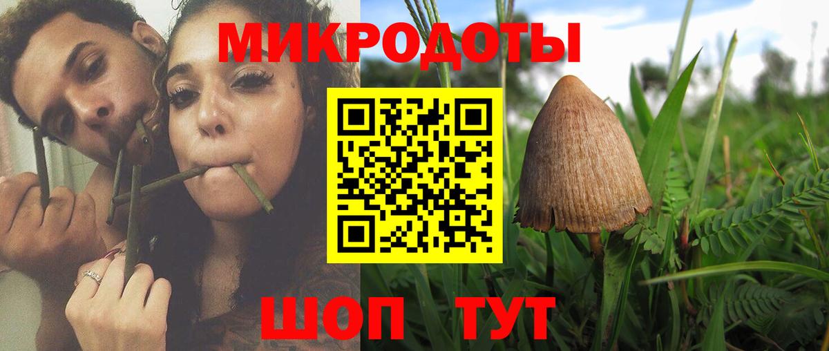 Галлюциногенные грибы Cubensis Северодвинск